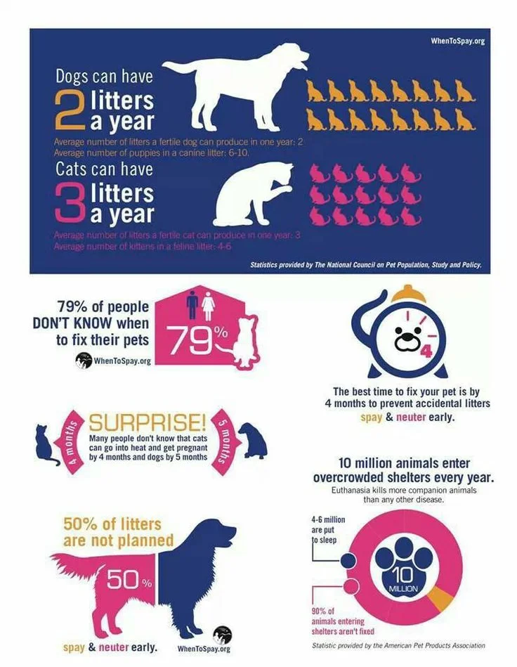 Facts about Spaying and Neutering Cats and Dogs