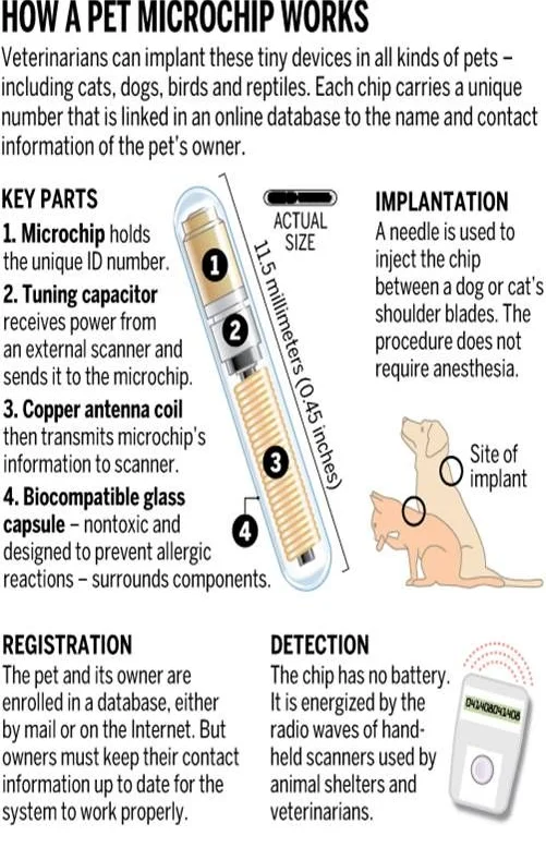 Microchipping
