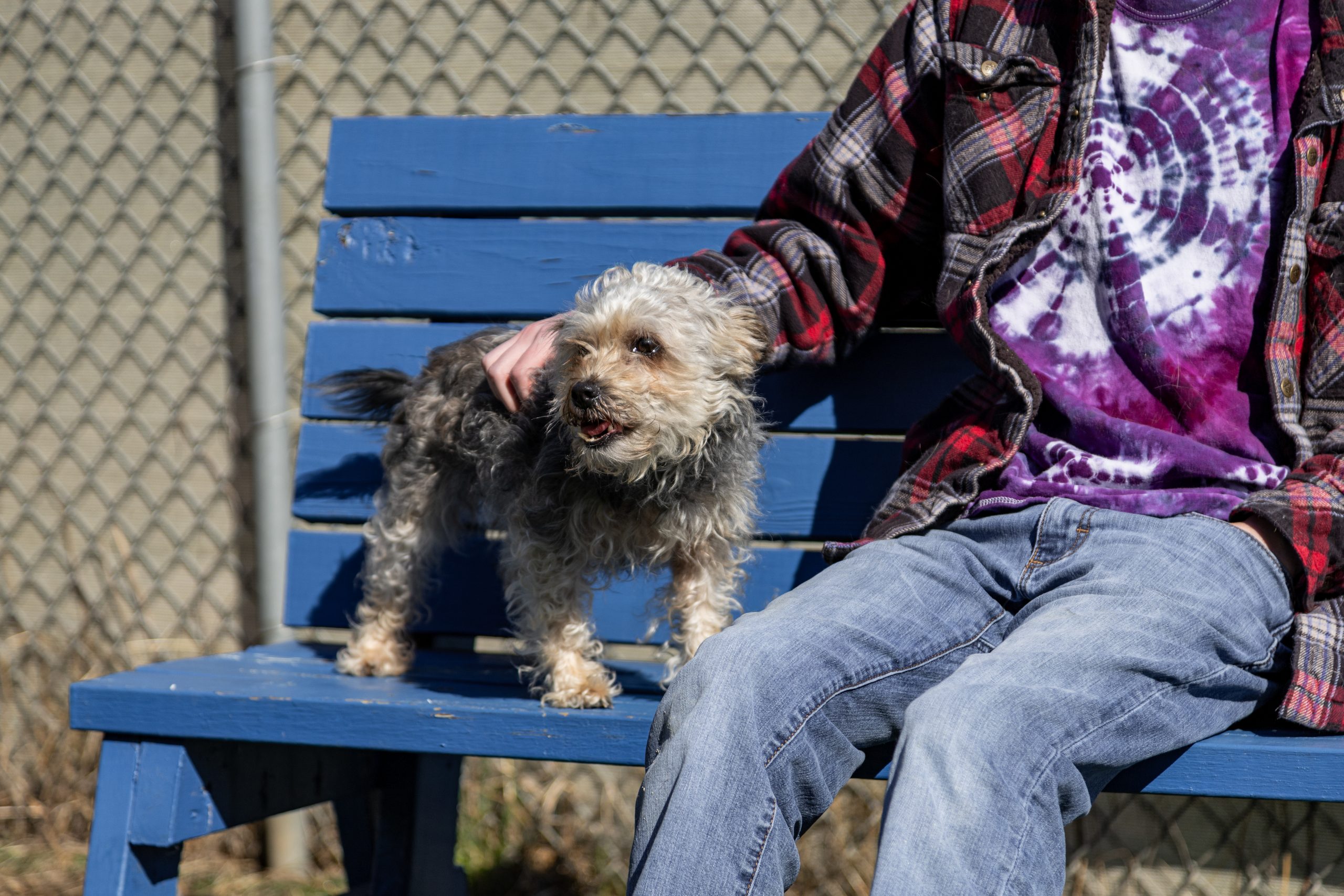 Etowah Valley Humane Society | Bartow County Animal Control | Cartersville, Georgia Animal Shelter